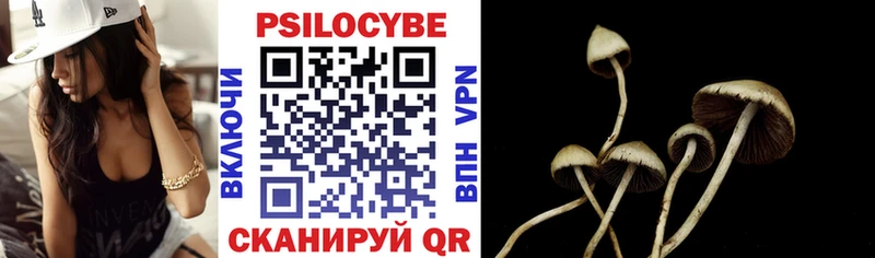 Купить  Лесозаводск  Галлюциногенные грибы мицелий 